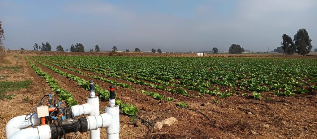 Regantes de Atacama y Coquimbo podrán repostular sus iniciativas de tecnificación, pozos y de acumulación en concurso nacional de la CNR